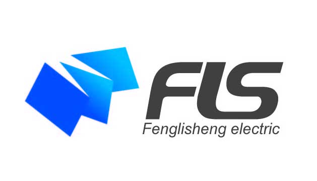 Shanghai feng lisheng  electrom